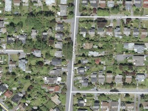 500 block of Victoria St, centred on large tree