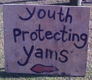 Youth protecting Yams